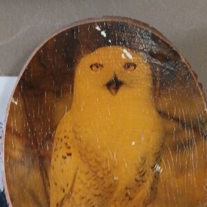 Handcrafted Owl Wall Art Decor